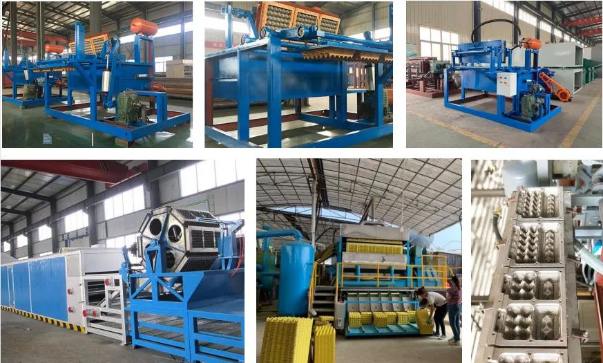 Waste Paper Pulp Molding Machine Egg Tray Machine with Factory Price